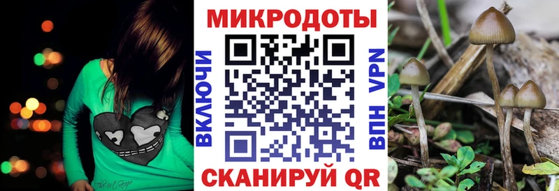 Псилоцибиновые грибы мицелий Майкоп