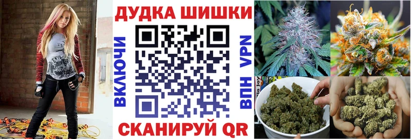 Бошки марихуана семена  kraken ONION  Майкоп 